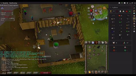 osrs hcim guide.